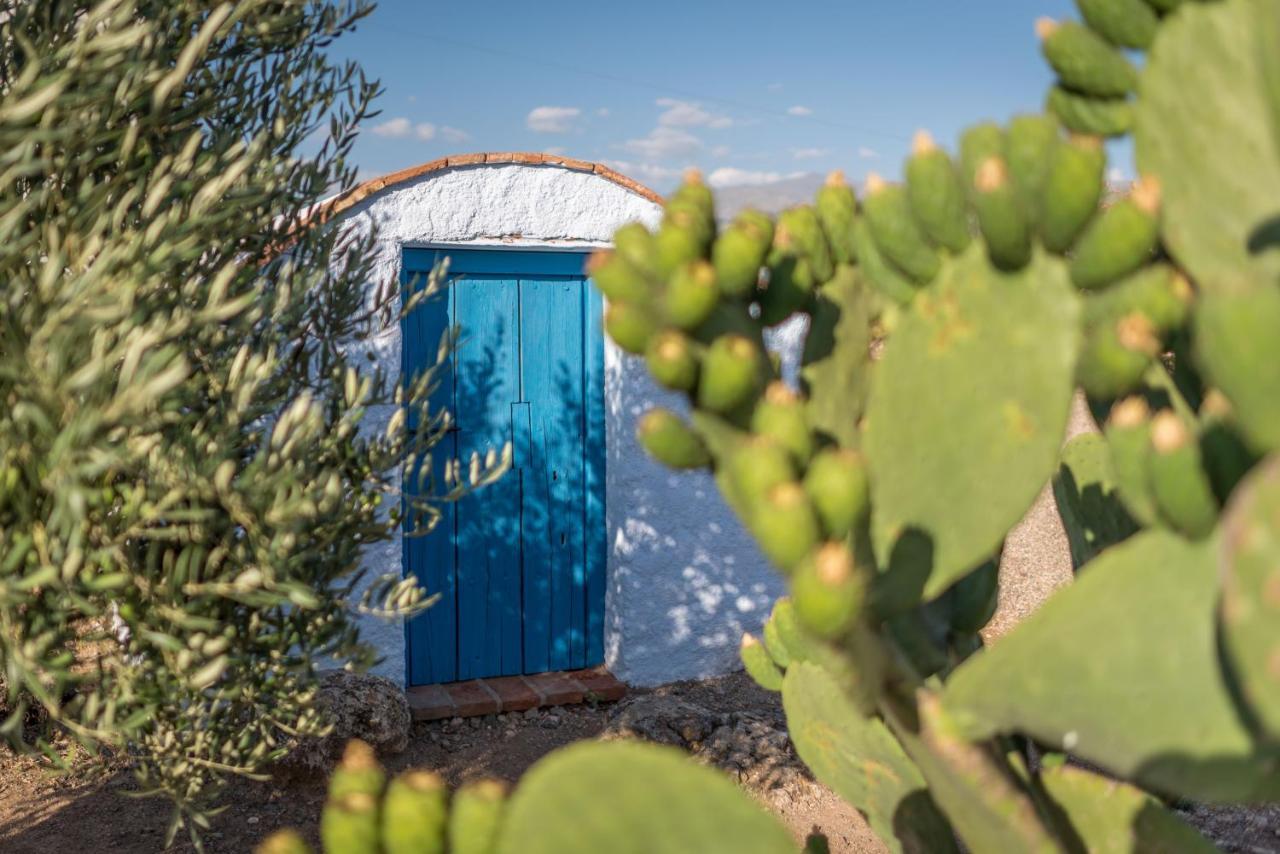 Al Agia - Mirador De Los Quinientos Padul Buitenkant foto